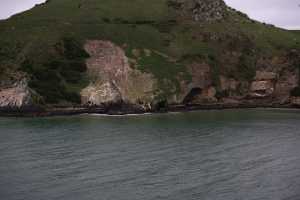 HARINGTON-POINT-DUNEDIN (49)